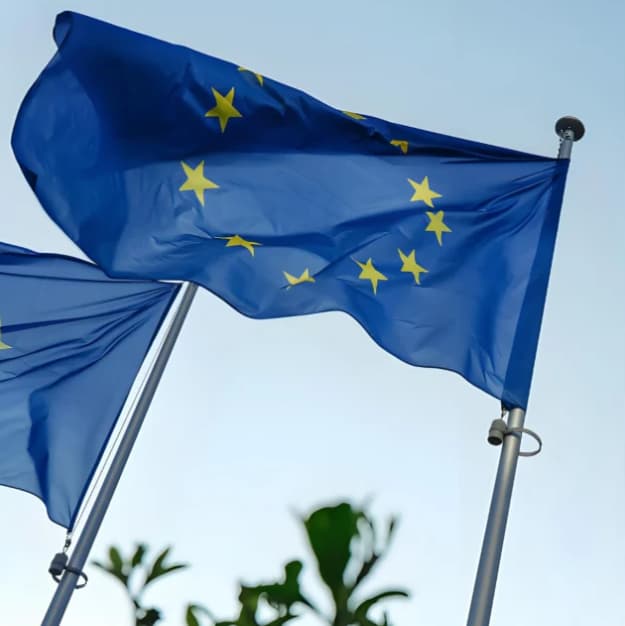 Is the EU Planning to Ban Non-Stick Frying Pans