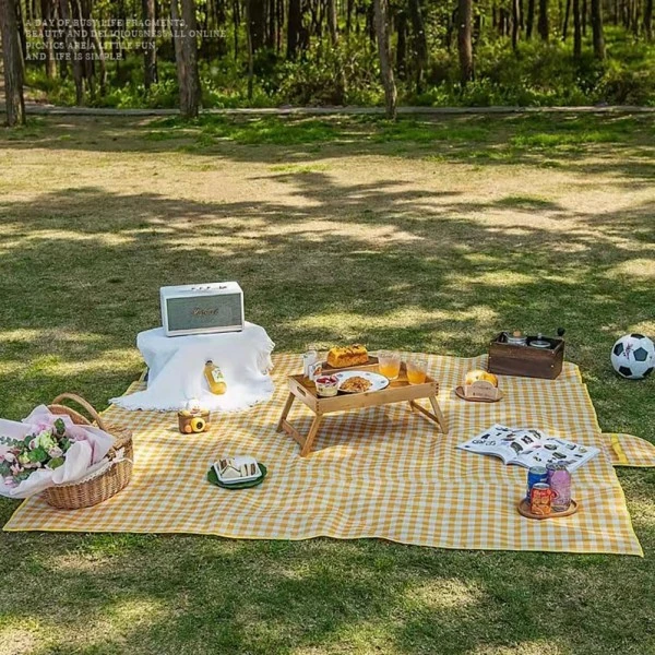 Picnic Blanket and Foldable Table