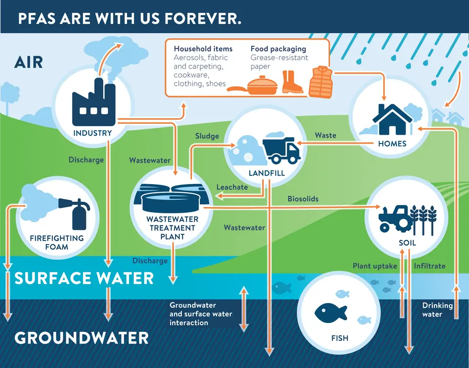 The persistence of PFAS