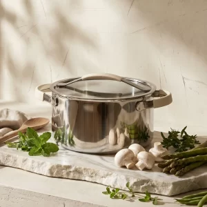 stainless steel casserole pot (1)